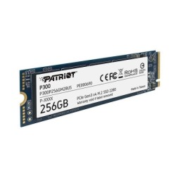 256Gb M.2 Patriot P300